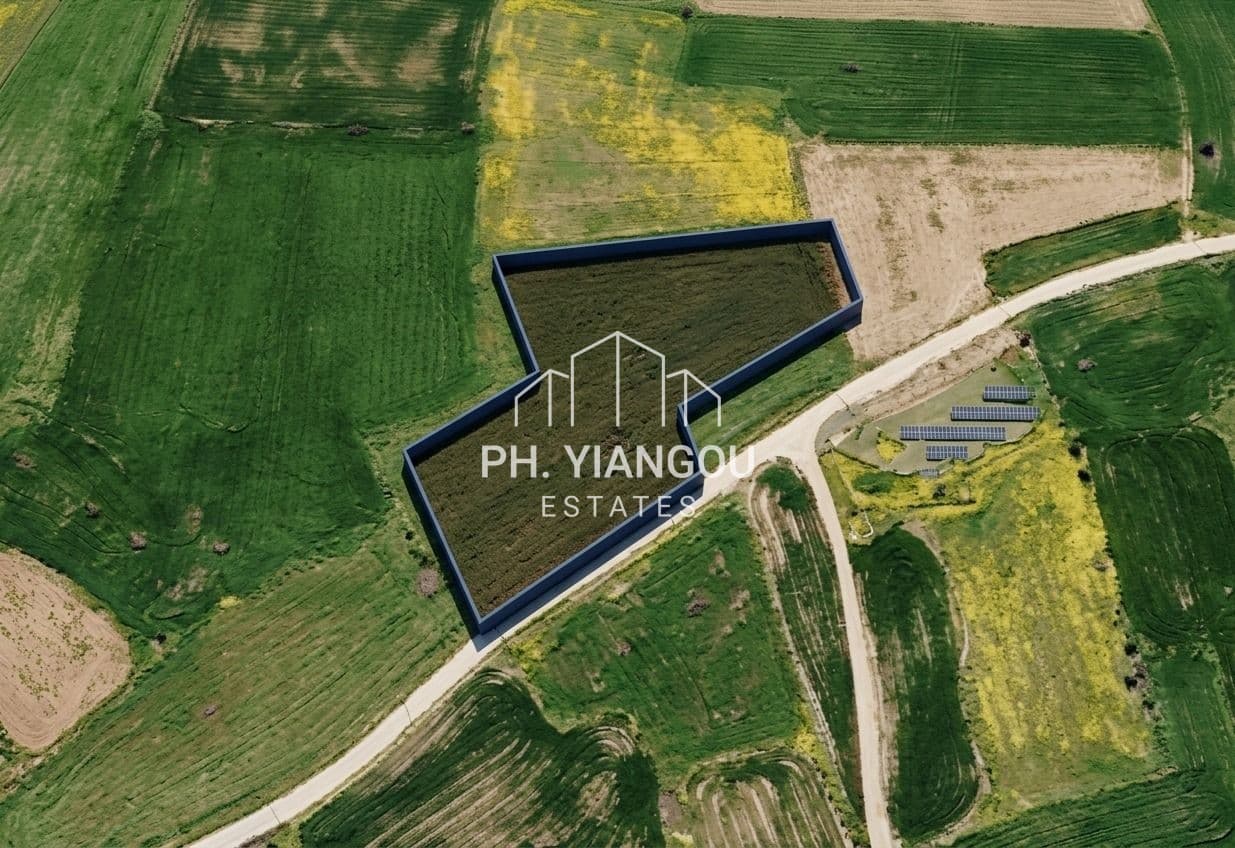 Agricultural Field for Sale in Palaiometocho